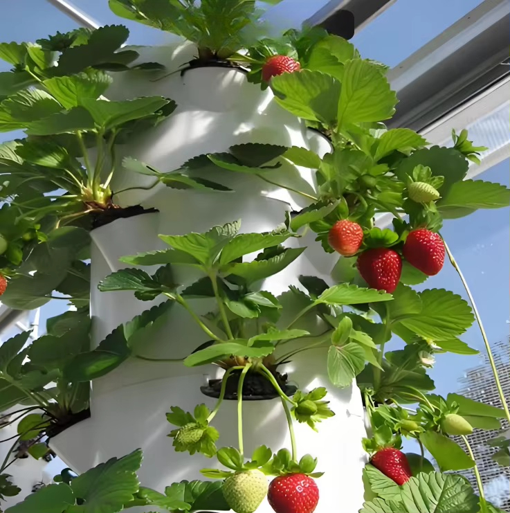 Modułowy hydroponiczny system  – Urban Farming Gardening recenzja i cena
